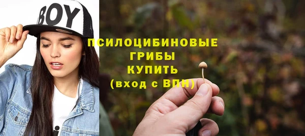 гидра Новокубанск