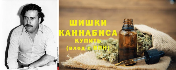 гидра Новокубанск