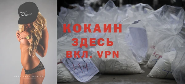 твердый Новодвинск