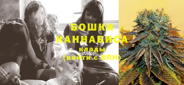 твердый Новодвинск