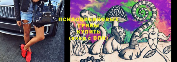 дмт Няндома