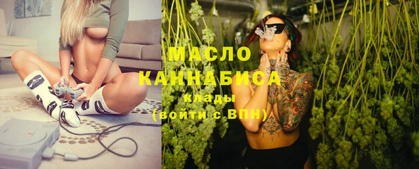 твердый Новодвинск