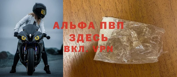 прущие грибы Анива