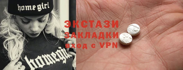 твердый Новодвинск