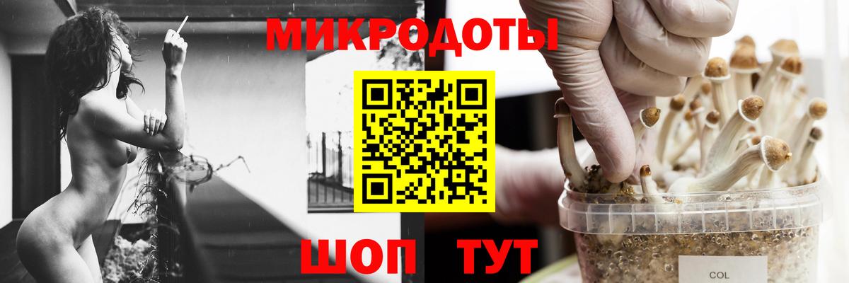 Псилоцибиновые грибы Psilocybe Изобильный